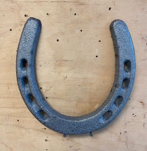 Large Horseshoe